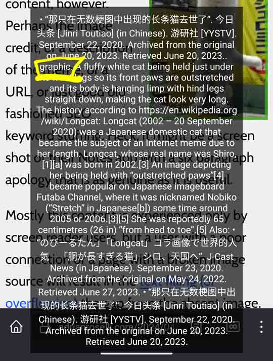 TalkBack caption with Firefox showing the alt text flow directly to the title text.